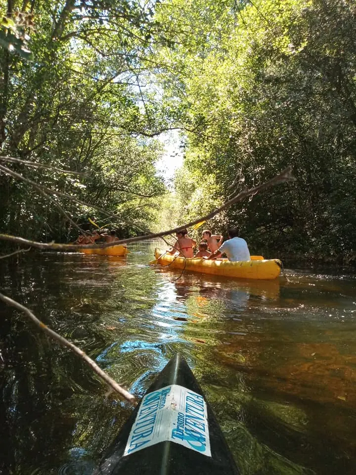 Canoas y remos en la orilla del Tera