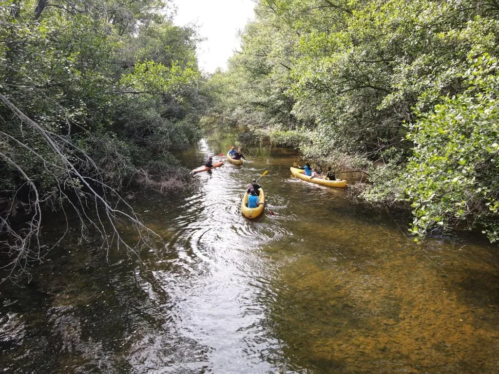 Grupo escolar en una jornada de actividades en el valle