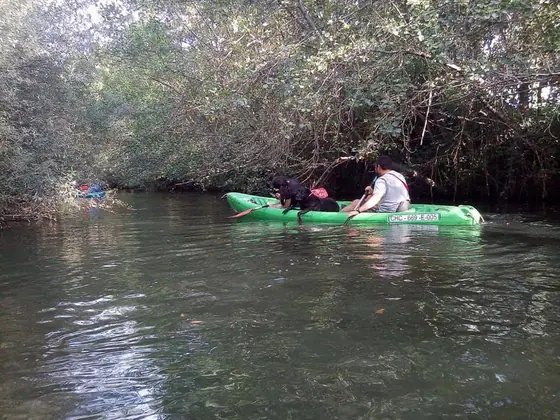 Pesca en el río Tera